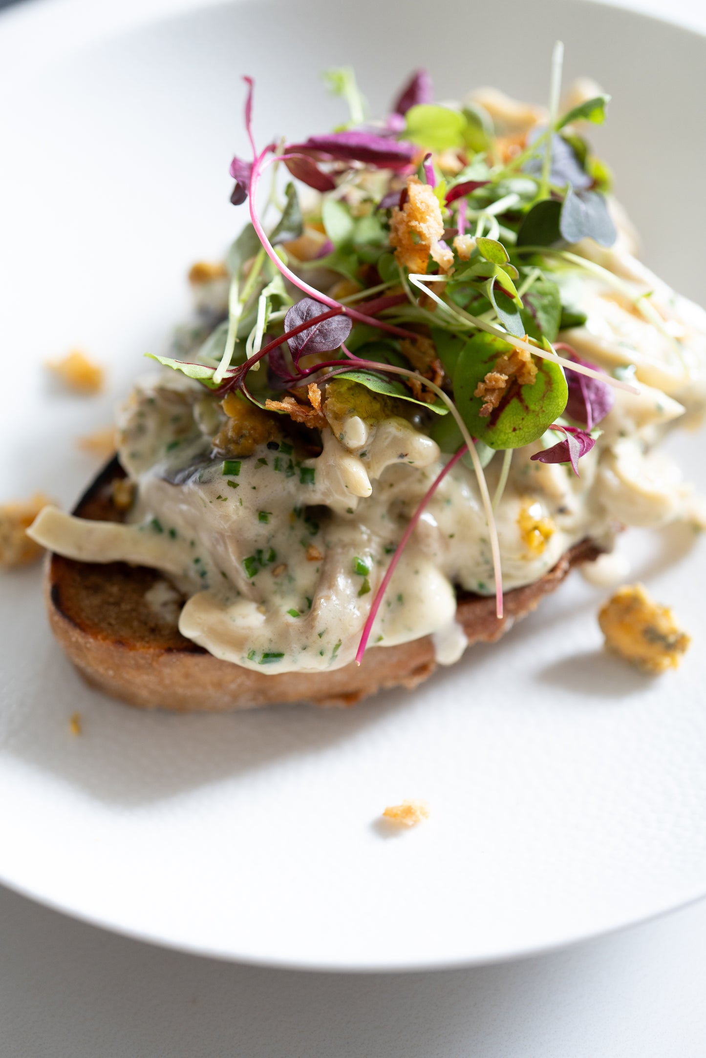 The Festive Christmas Box